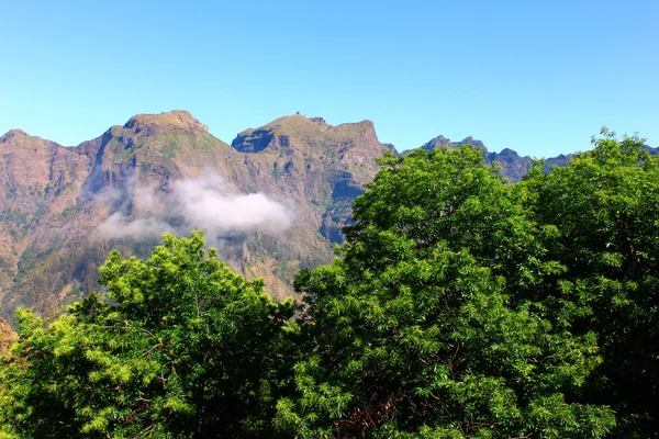 Curral das Freiras, Isla de Madeira, POrtugal —  Fotos de Stock