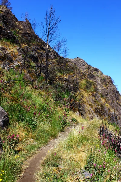 Curral das Freiras, Madeira island, Πορτογαλία — Φωτογραφία Αρχείου