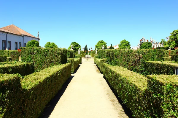 Castelo branco, Portugalia — Zdjęcie stockowe