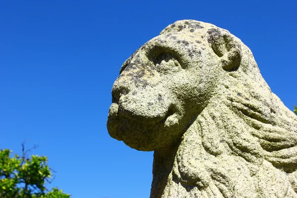 Lion statue — Stock Photo, Image