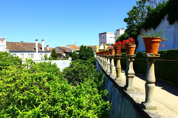 Garden, Castelo Branco, Portogallo — Foto Stock