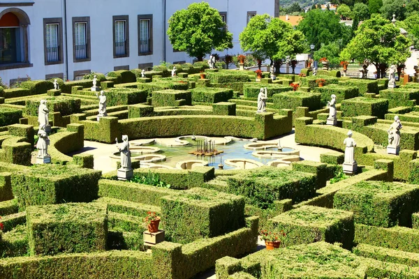 Trädgård, castelo branco, portugal — Stockfoto