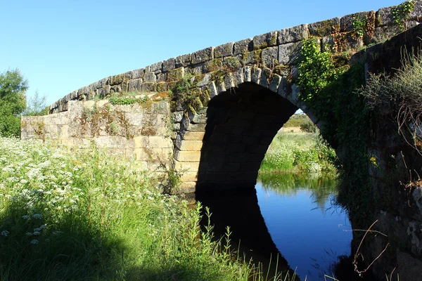 Römische Brücke in Idanha-a-velha, Portugal — Stockfoto