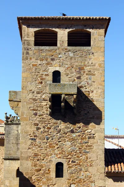 Katedral caceres, caceres, İspanya — Stok fotoğraf