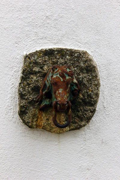 Detail of a iron Horse — Stock Photo, Image