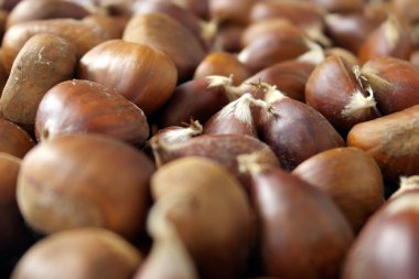 kestane rengi arka plan