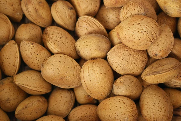 Almond background — Stock Photo, Image