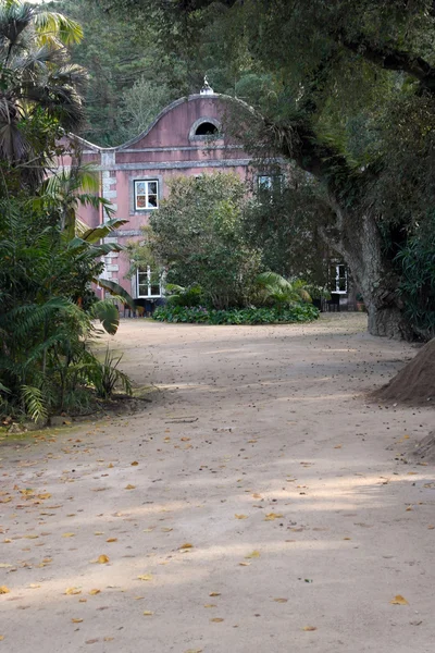 Palacio de Monserrate, jardín, Sintra, Portugal — Foto de Stock