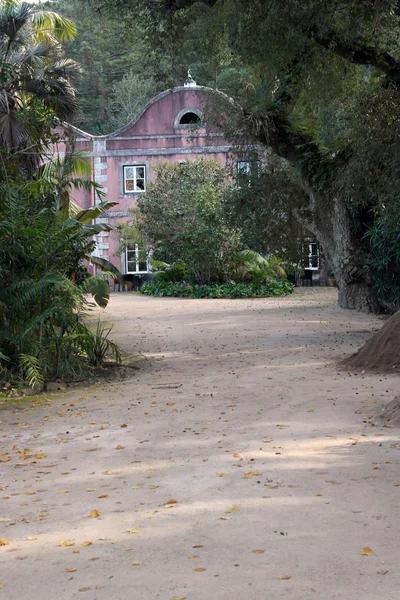 Monserrate, kert, sintra, Portugália-palota — Stock Fotó