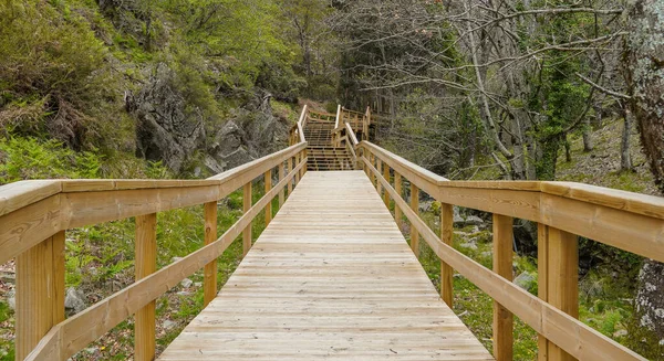 Coentral Castanheira Pera Portugal — Stockfoto