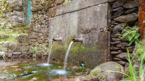 Coentral Castanheira Pera Portugal — Stock Photo, Image