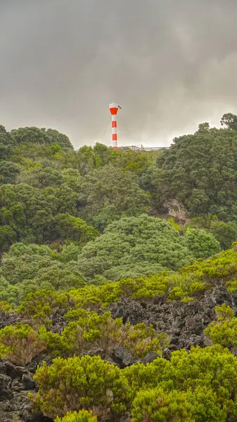 Ilha Terceira Uma Das Ilhas Arquipélago Português Açores — Fotografia de Stock