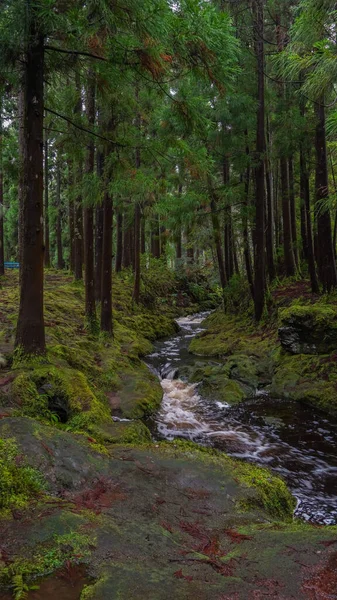 Terceira Island One Islands Portuguese Archipelago Azores — Φωτογραφία Αρχείου