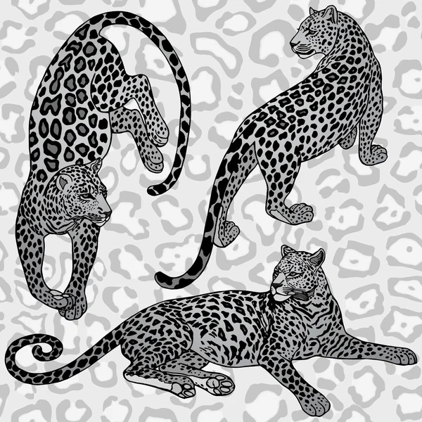 Vintage background, exotic style fashion seamless pattern with leopards, artistic wallpaper, creative fabric, wrapping with graphic elements for design — Stock Vector