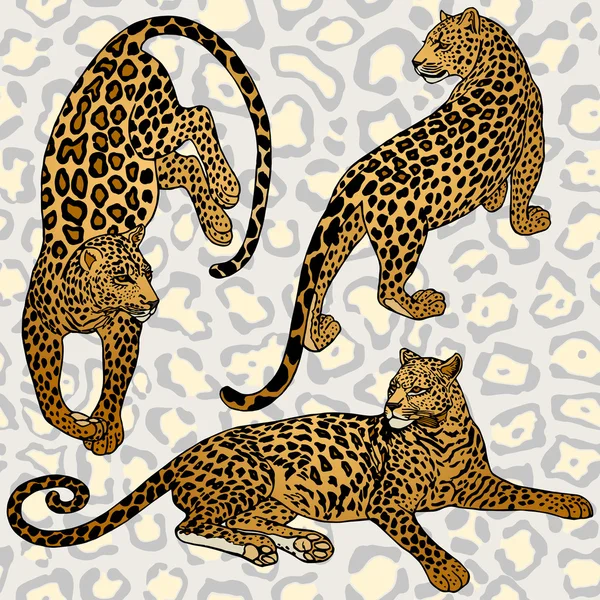 Fundo vintage, estilo exótico moda padrão sem costura com leopardos, papel de parede artístico, tecido criativo, envolvendo com elementos gráficos para o design —  Vetores de Stock