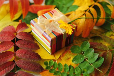 hediye kutusu ile sonbahar natürmort