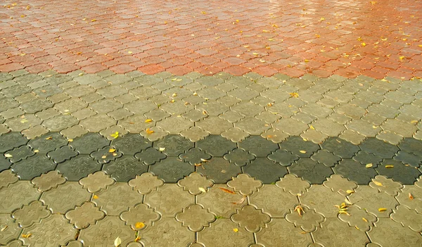 Colored pavement — Stock Photo, Image