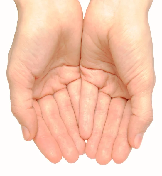 Two palms of the hand — Stock Photo, Image