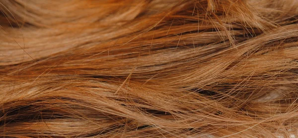 Jemné hnědé vlasy, jako pozadí — Stock fotografie