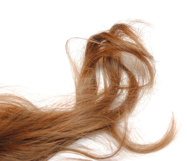 Egészséges barna haj Stock Kép