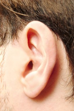 Genç adamın kulağını