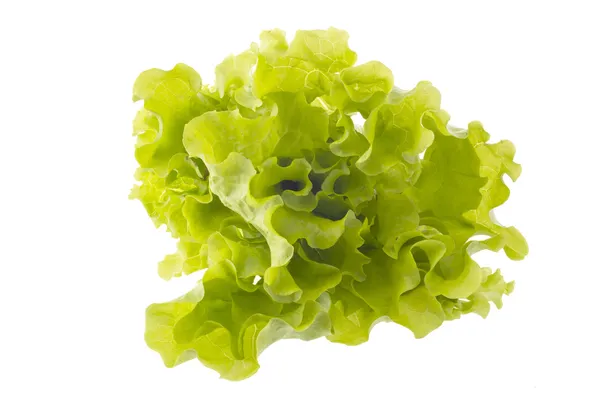 Salad on white background — Stock Photo, Image