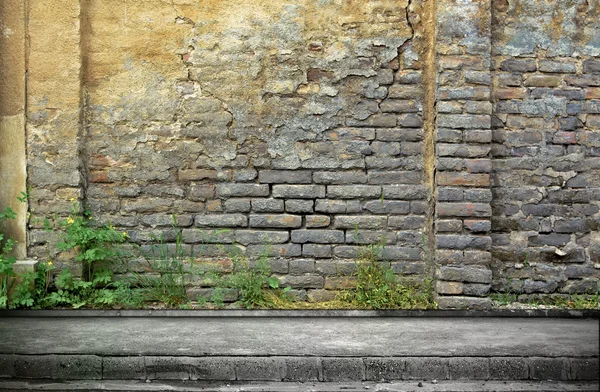 Gatan grunge vägg. Digital bakgrund för studio fotografer. — Stockfoto