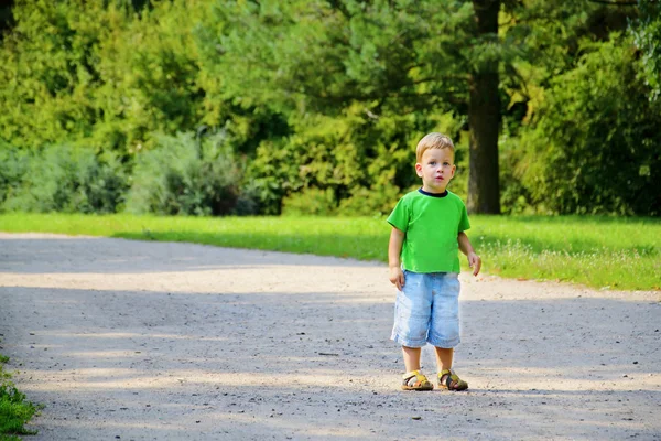 Bonito menino de três anos na estrada no parque — Fotografia de Stock