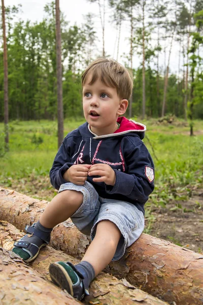 Cute three years boy in the forest on logs — Stock Photo, Image