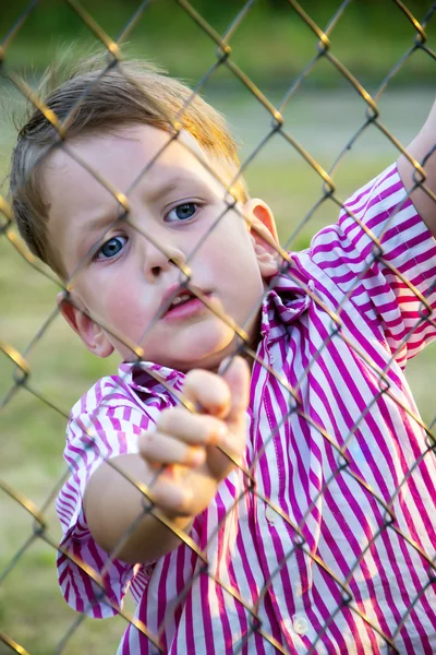 Niño detrás de valla de malla — Foto de Stock