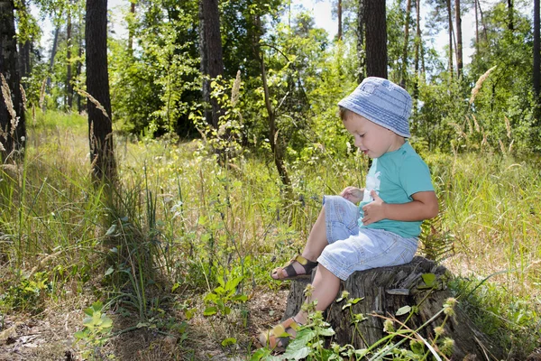 Cute three years boy in the forest on logs — Stock Photo, Image