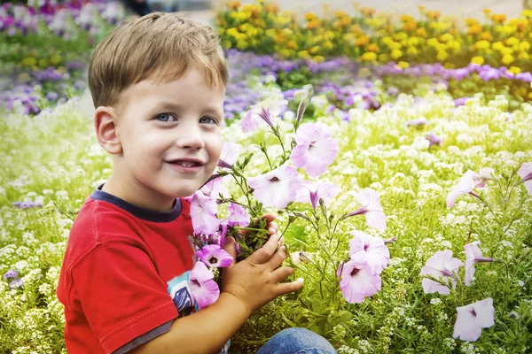 Ładny chłopiec wącha kwiat Petunie — Zdjęcie stockowe