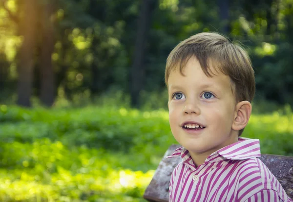 Ragazzino sopra foresta Foto Stock