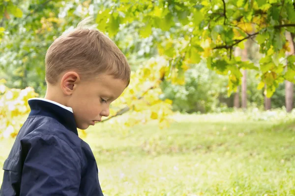 Carino ragazzo in un parco, autunno — Foto Stock