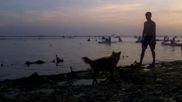 Doggy giocare sulla spiaggia . — Video Stock