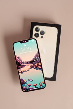 Lyon, Fransa - 15 Aralık 2021: Apple Inc. 'den yeni Iphone 13 Pro Max ve kutusu
