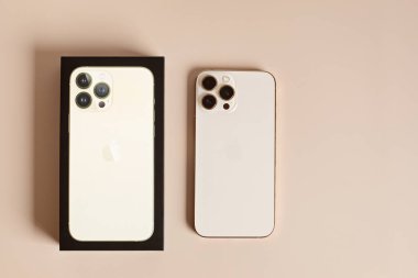 Lyon, Fransa - 15 Aralık 2021: Apple Inc. 'den yeni Iphone 13 Pro Max ve kutusu