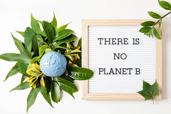 Letter board with text there is no planet b. Save the planet idea. International Mother Earth Day. Environmental problems and protection. Caring for Nature