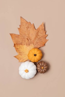 El yapımı alçı balkabağı bileşimi. Sonbahar tatilleri doğal renklerde. Cadılar bayramı, şükran günü ve sonbahar dekorasyonu için alçıtaşı kabakları.