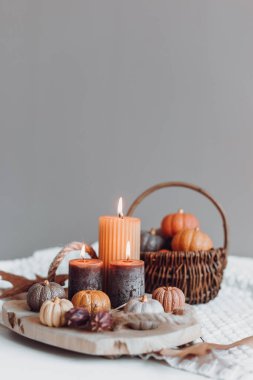 Sonbahar masa dekorasyonu. El yapımı balkabakları ve mumlarla sonbahar tatili için iç dekorasyon. Tatil tebrik kartı.