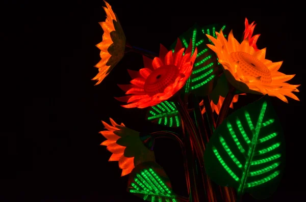 Flores de néon à noite — Fotografia de Stock