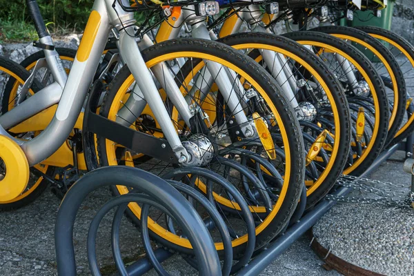 Bicycles Rent Parked Row Environmentally Friendly Popular Form Transport Sports — Stock Photo, Image