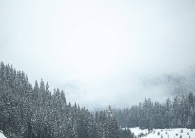 Dağ yamaçlarında karla kaplı çam ağaçları. Kışın kozalaklı ağaçlar. Güzel kış manzarası.