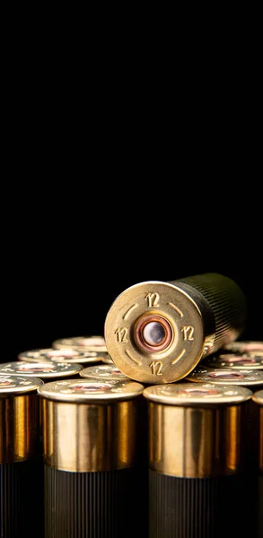 Shotgun Shells Black Reflective Surface Ammunition Gauge Smoothbore Weapons Hunting — Stock Photo, Image