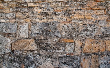 Sarı kabuklu kayadan tuğla duvar. Shellstone dokusunun yakın çekim. Kabuk kayaile arka plan duvarı. Eski duvar. Doku kireçtaşı