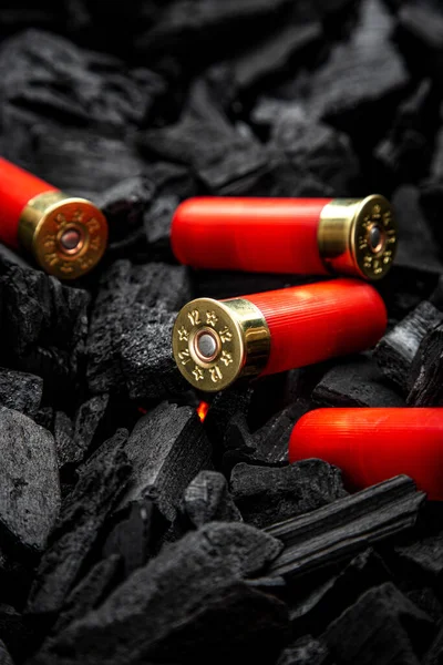 木炭上的霰弹筒12个口径滑膛武器的弹药 黑暗背景 — 图库照片