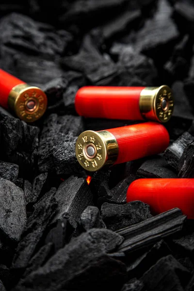 Cartuchos Espingarda Carvão Munições Para Armas Calibre Caçar Munições Fundo — Fotografia de Stock