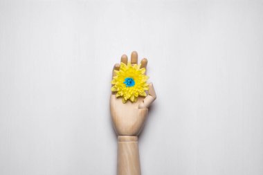 Mavi kalpli sarı bir çiçek ahşap bir elin üzerinde duruyor. Ukrayna bayrağının renkleri. Hafif arkaplan.