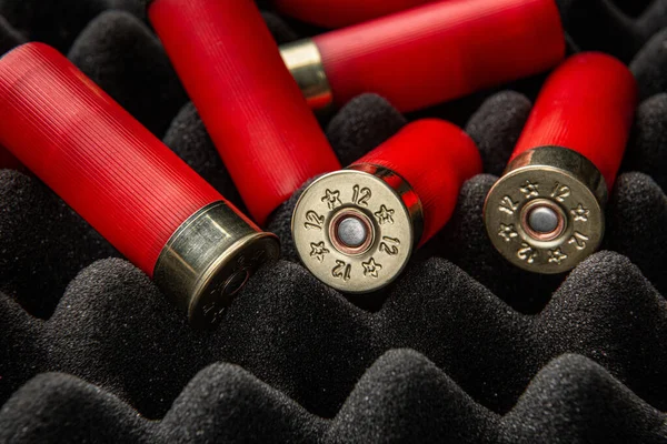 Köpük kauçuk üzerinde av tüfeği mermisi. 12 kalibrelik pürüzsüz silahlar için mühimmat. Cephanelik avlıyorum. Koyu arkaplan.