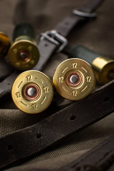 Disparos Escopeta Cerca Munición Para Armas Lisas Una Mochila Lona — Foto de Stock